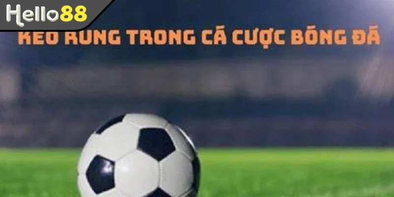 Hướng dẫn đọc kèo cược rung châu Á